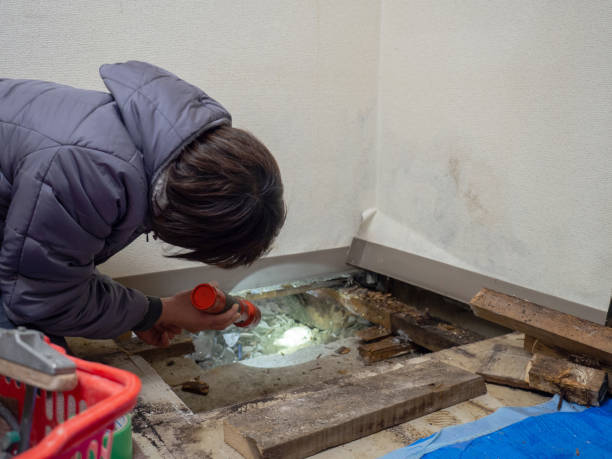 Best Residential Mold Inspection & Testing  in Drexel Hill, PA