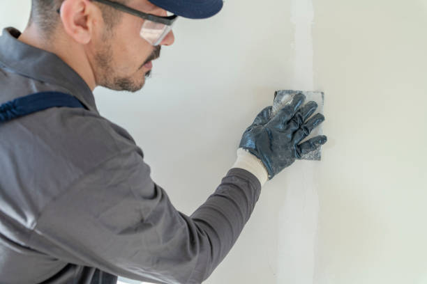 Reliable Drexel Hill, PA Mold Removal Solutions
