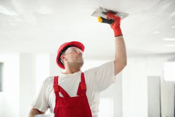  Drexel Hill, PA Mold Removal Pros