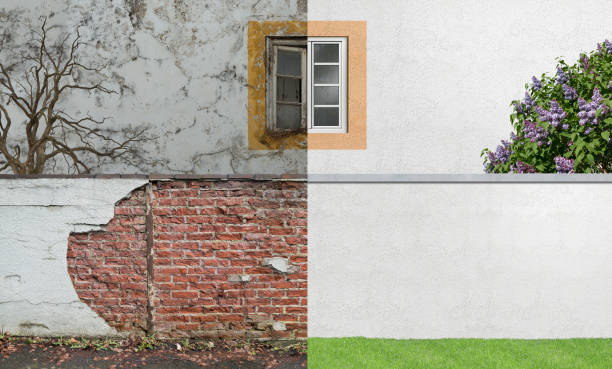 Best Mold Odor Removal Services  in Drexel Hill, PA
